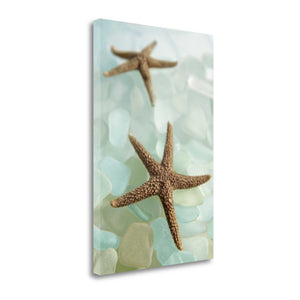 33" Two Brown Starfish and Blue Seaglass Giclee Wrap Canvas Wall Art