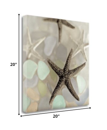 13" Four Starfish and Faded Seaglass 1 Giclee Wrap Canvas Wall Art