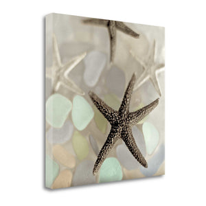 13" Four Starfish and Faded Seaglass 1 Giclee Wrap Canvas Wall Art