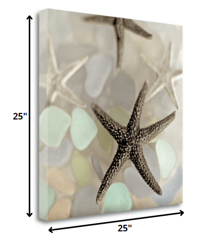 13" Four Starfish and Faded Seaglass 2 Giclee Wrap Canvas Wall Art