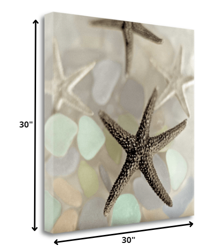 13" Four Starfish and Faded Seaglass 3 Giclee Wrap Canvas Wall Art