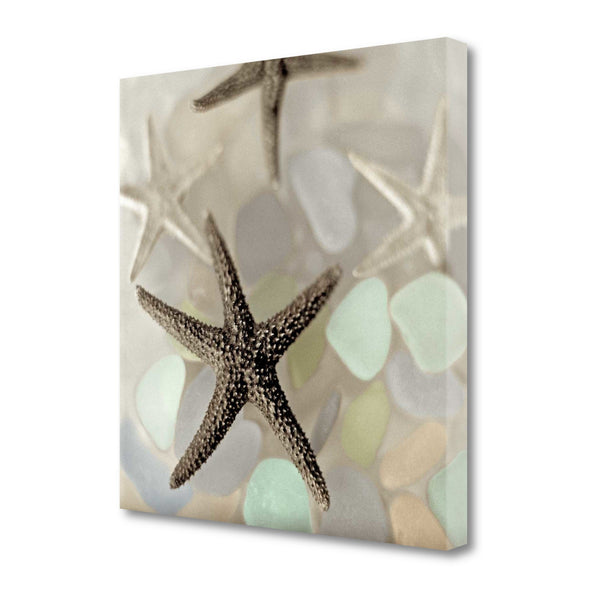 13" Four Starfish and Faded Seaglass 3 Giclee Wrap Canvas Wall Art