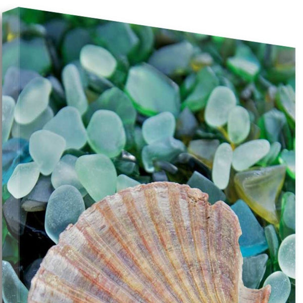 25" Seashell and Seaglass Giclee Wrap Canvas Wall Art