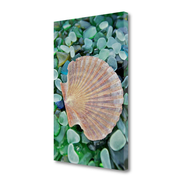 25" Seashell and Seaglass Giclee Wrap Canvas Wall Art