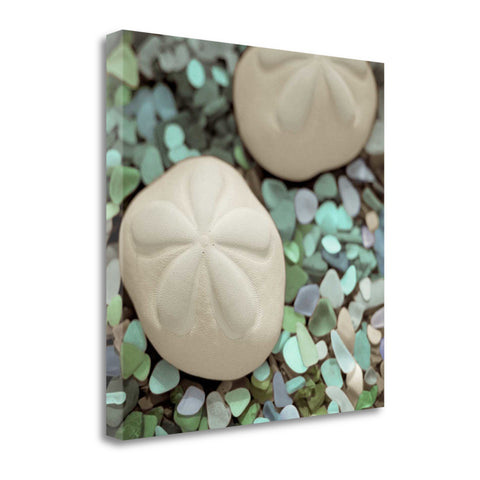 12" Two Sandollars and Seaglass 1 Giclee Wrap Canvas Wall Art