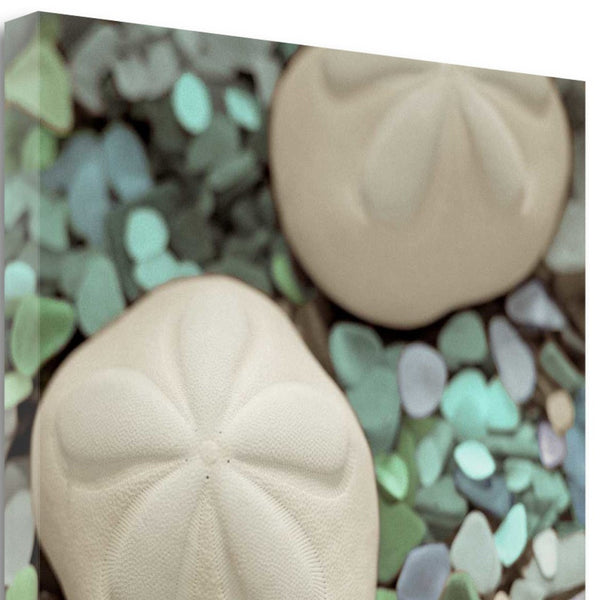 12" Two Sandollars and Seaglass 2 Giclee Wrap Canvas Wall Art