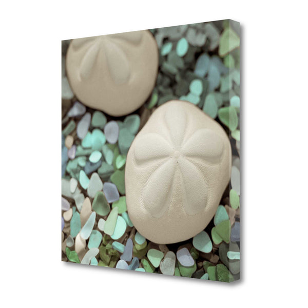 12" Two Sandollars and Seaglass 2 Giclee Wrap Canvas Wall Art