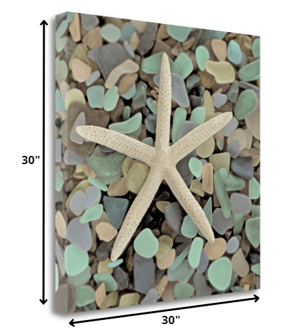 10" Starfish and Colorful Seaglass 3 Giclee Wrap Canvas Wall Art