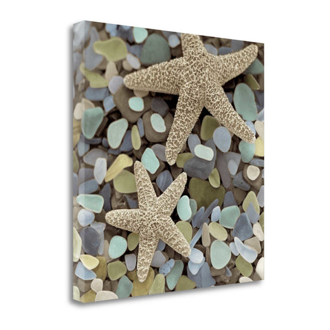 11" Two Starfish and Seaglass 1 Giclee Wrap Canvas Wall Art