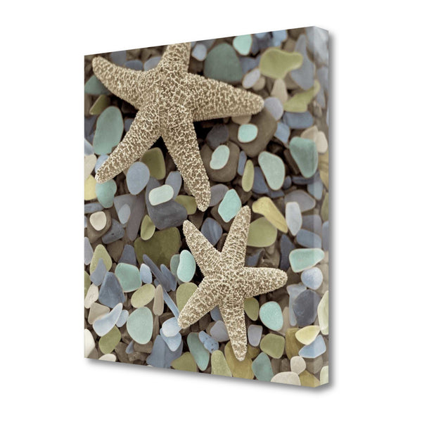 11" Two Starfish and Seaglass 3 Giclee Wrap Canvas Wall Art