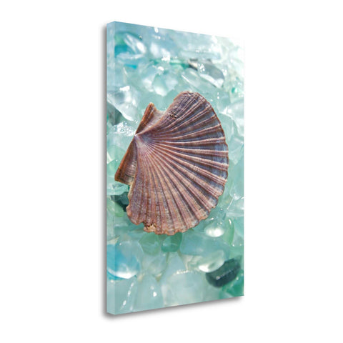 8" Sea Scallop Shell and Seaglass Giclee Wrap Canvas Wall Art