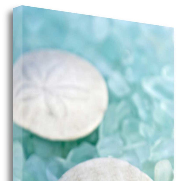 9" Two White Sandollars and Seaglass Giclee Wrap Canvas Wall Art