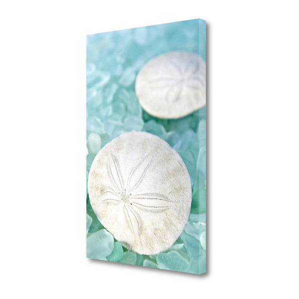 9" Two White Sandollars and Seaglass Giclee Wrap Canvas Wall Art