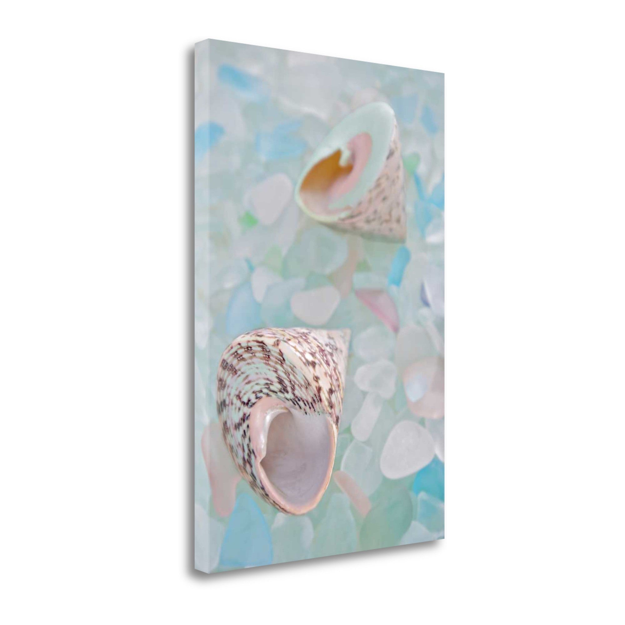 5" Speckled Snail Shell and Colorful Seaglass Giclee Wrap Canvas Wall Art