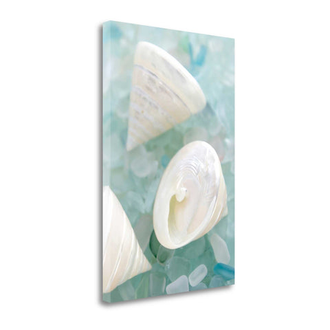 4" White Snail Shell and Blue Seaglass Giclee Wrap Canvas Wall Art