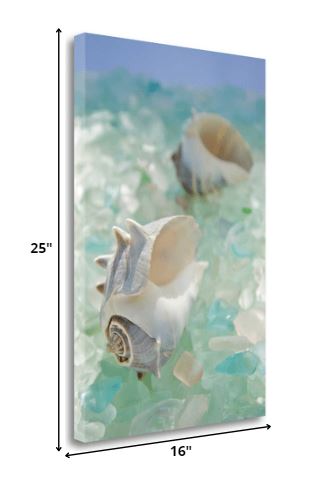 1" Conchshell and Seaglass Giclee Wrap Canvas Wall Art