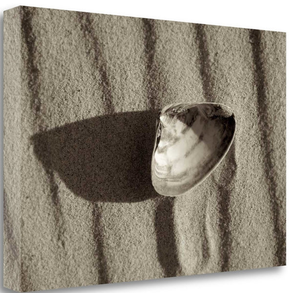 36" Seashell in the Sand Giclee Wrap Canvas Wall Art