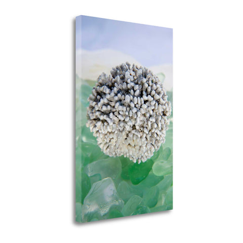 34" White Sea Urchin and Colorful Seaglass Giclee Wrap Canvas Wall Art