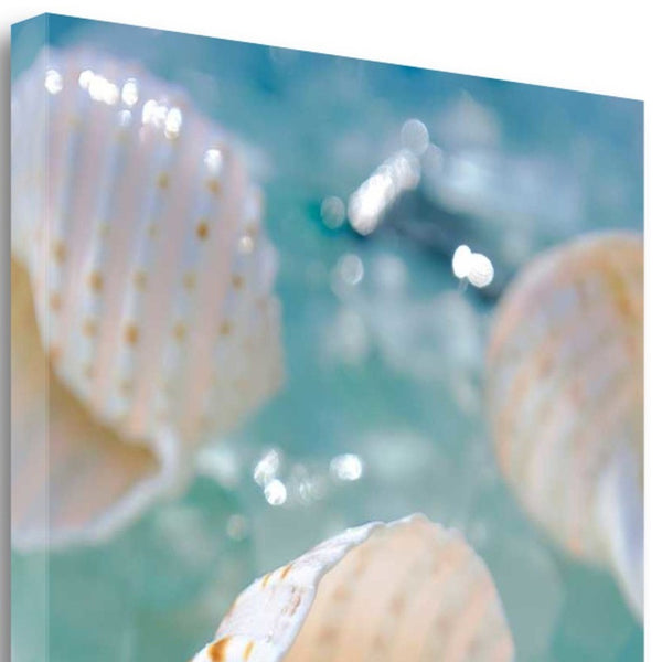 24" Seashell and Seaglass Giclee Wrap Canvas Wall Art