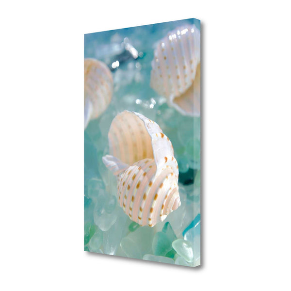 24" Seashell and Seaglass Giclee Wrap Canvas Wall Art