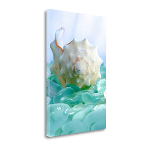 24" Conchshell and Blue Seaglass Giclee Wrap Canvas Wall Art