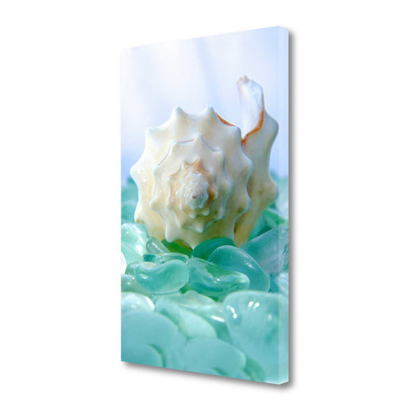 24" Conchshell and Blue Seaglass Giclee Wrap Canvas Wall Art