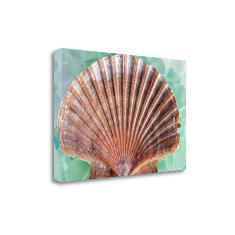 37" Red Seashell and Green Seaglass Giclee Wrap Canvas Wall Art