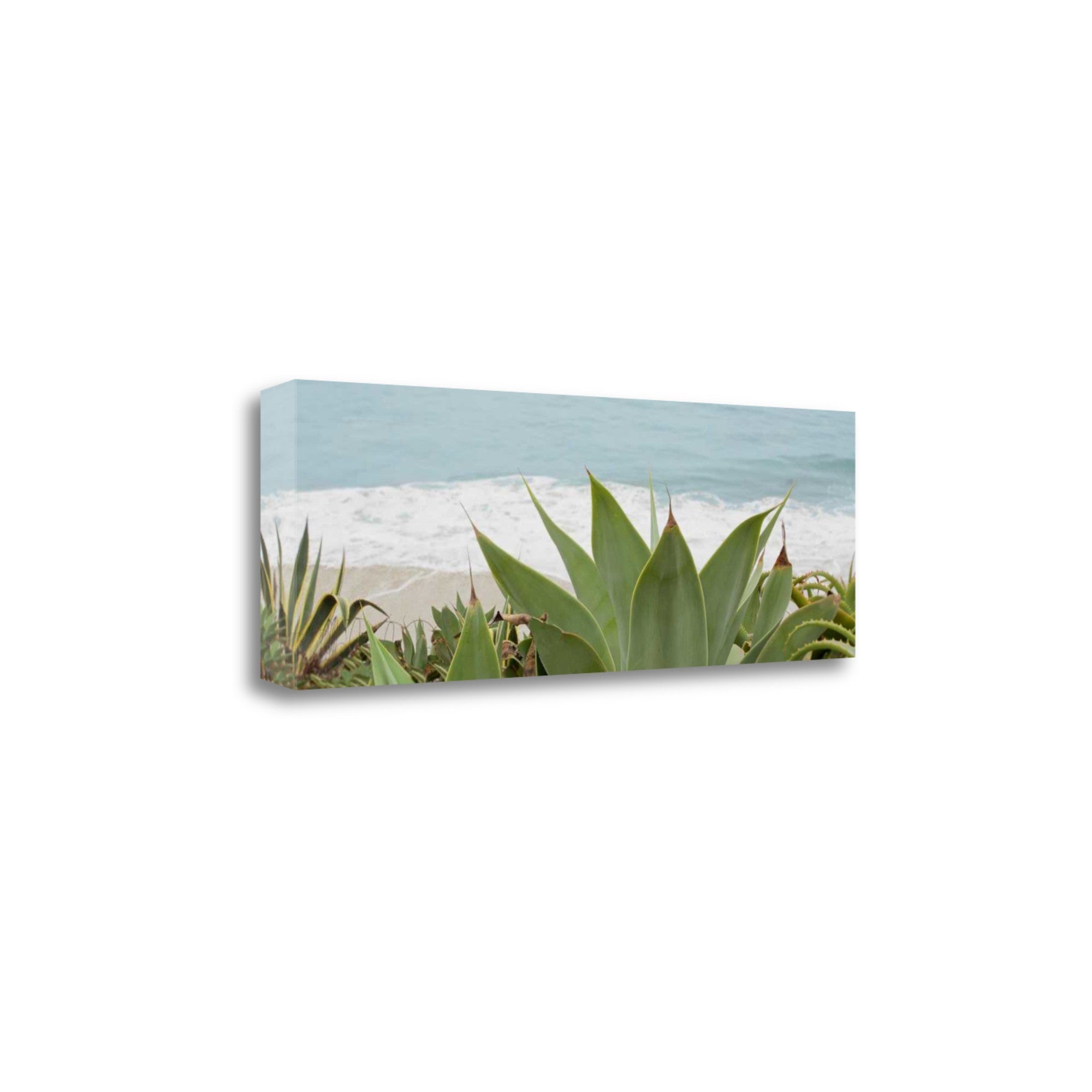 Tranquil Beach and Plants Giclee Wrap Canvas Wall Art