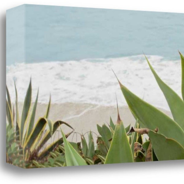 Tranquil Beach and Plants Giclee Wrap Canvas Wall Art