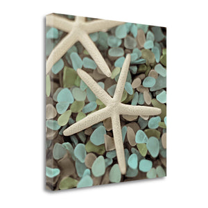 30" Starfish and Seaglass Giclee Wrap Canvas Wall Art