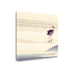 24" Coastal Seagull on the Beach Print on Gallery Wrap Canvas Wall Art