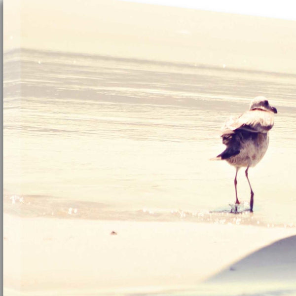 24" Coastal Seagull on the Beach Print on Gallery Wrap Canvas Wall Art