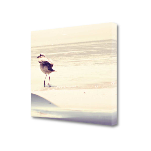 24" Coastal Seagull on the Beach Print on Gallery Wrap Canvas Wall Art