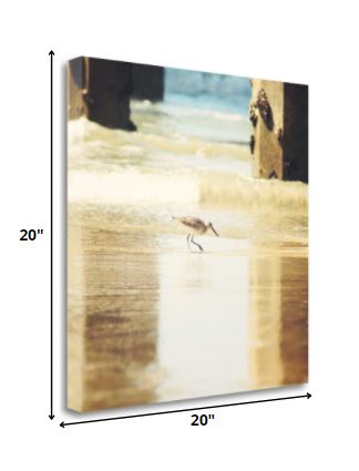 20" Willet Walking Towards the Beach Giclee Wrap Canvas Wall Art