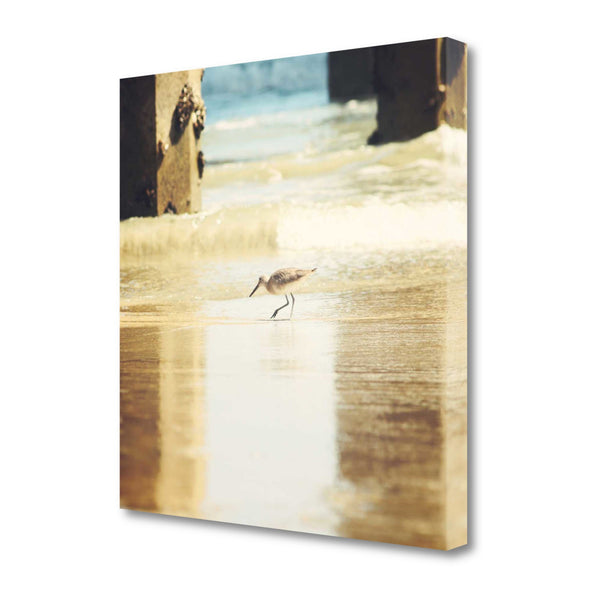 20" Willet Walking Towards the Beach Giclee Wrap Canvas Wall Art