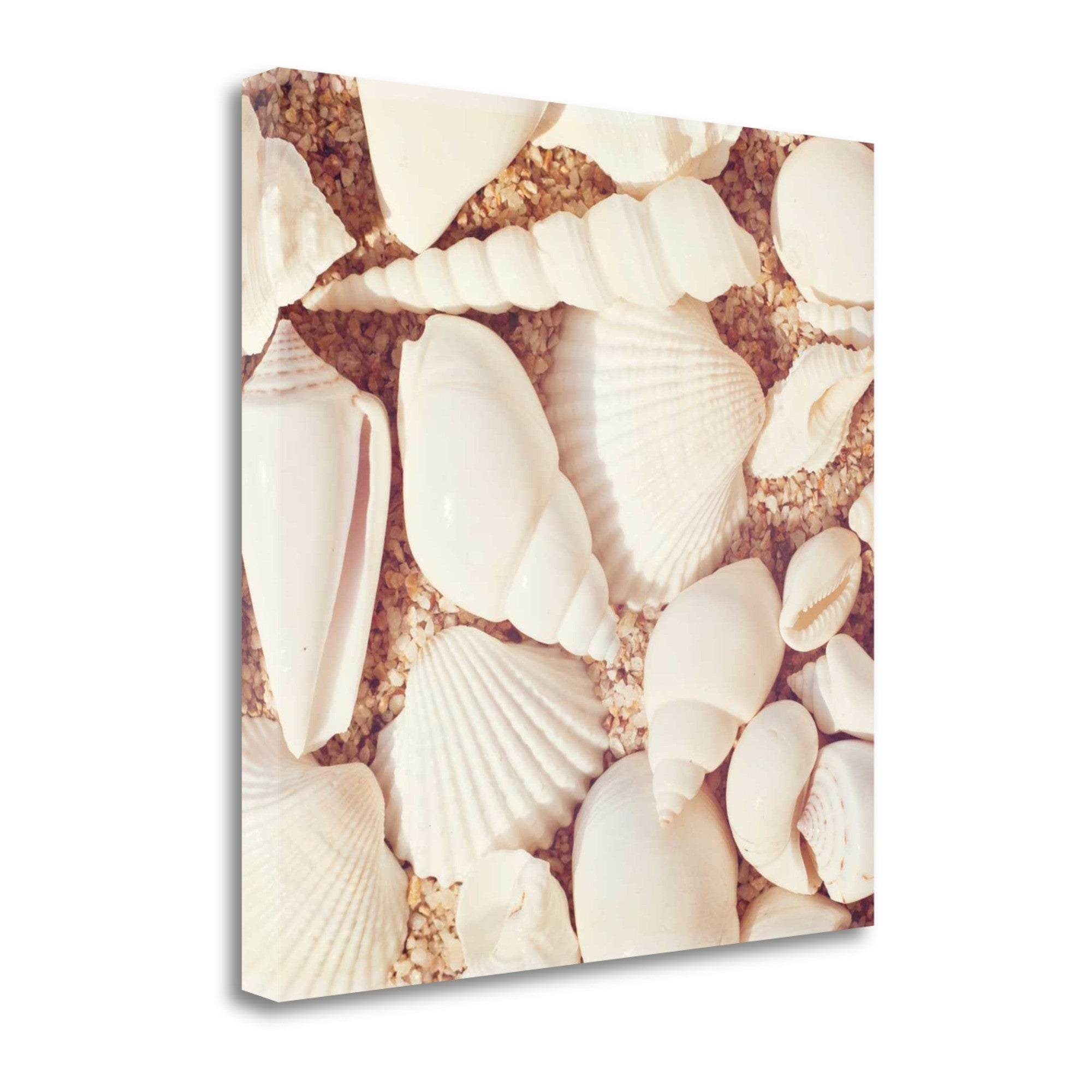 19" Contemporary and Colorful Coastal Print on Gallery Wrap Canvas Wall Art