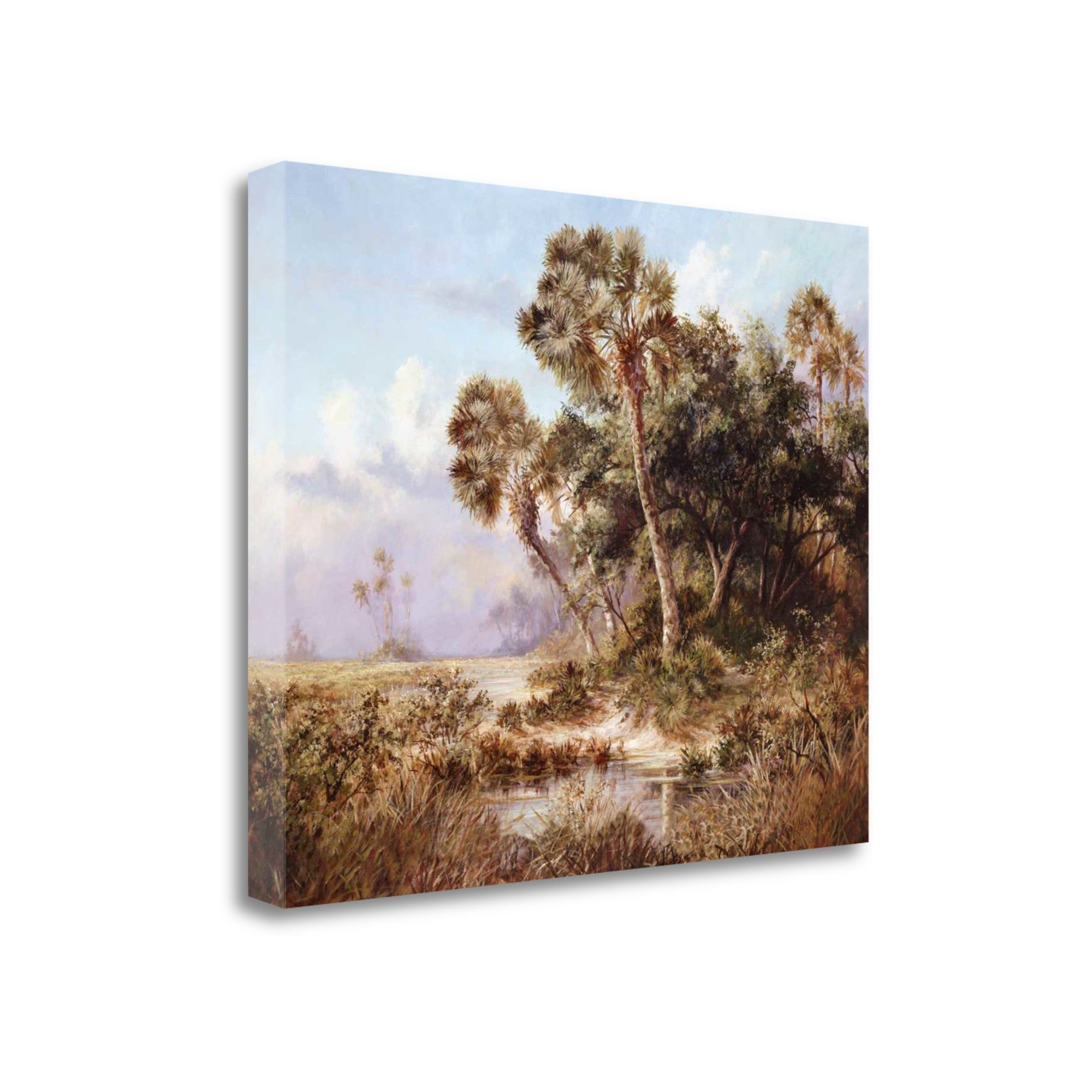 Palm Tree Everglades 2 Giclee Wrap Canvas Wall Art