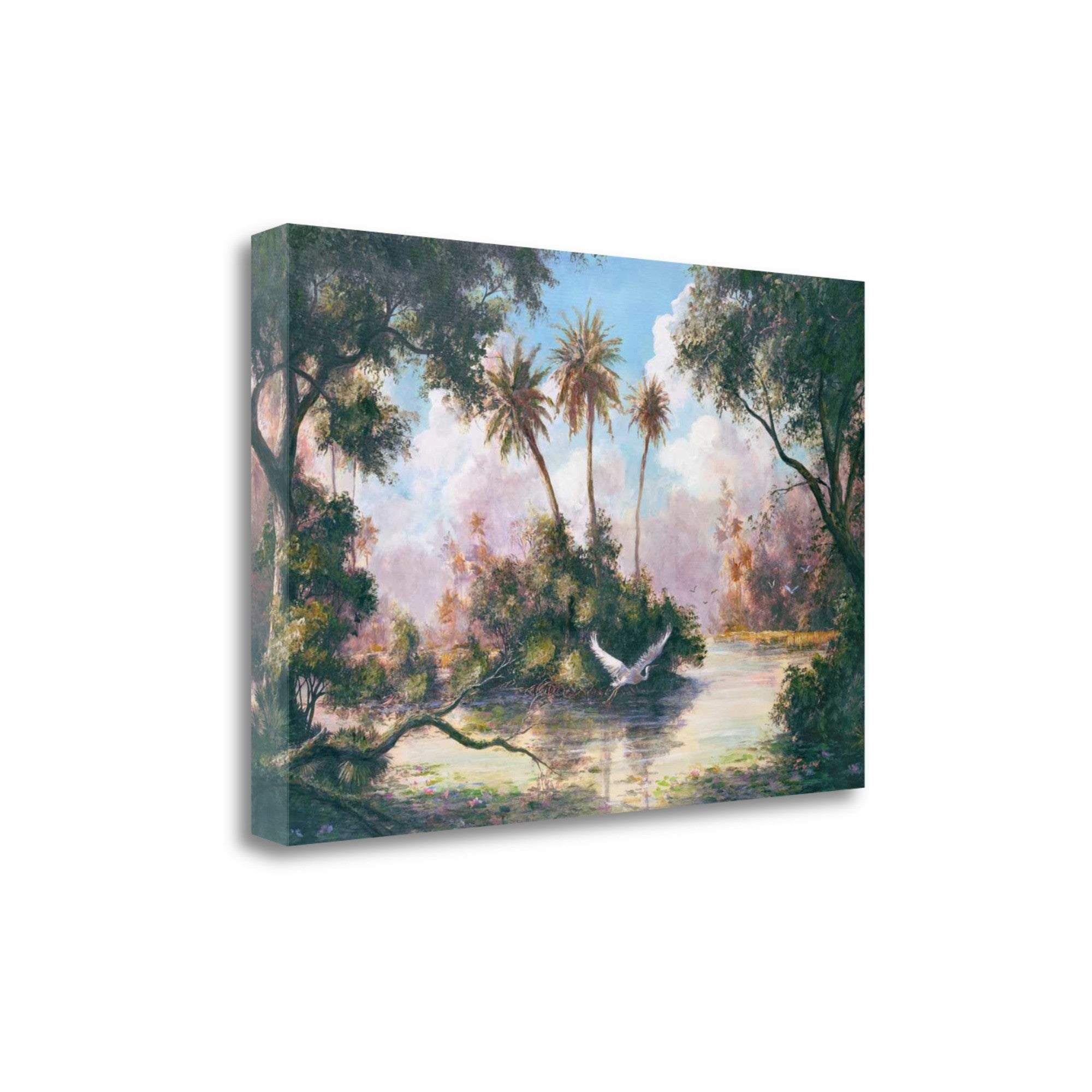 Tropical Everglades 3 Giclee Wrap Canvas Wall Art