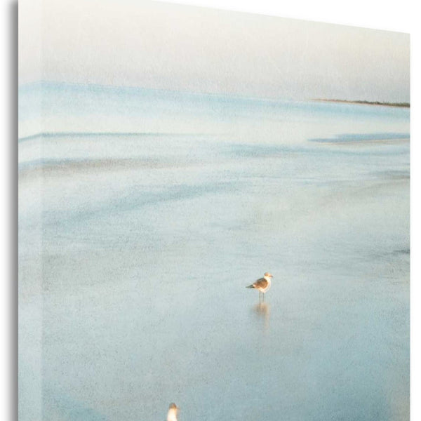 20" Coastal Two Seagulls on the Beach Giclee Wrap Canvas Wall Art