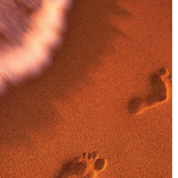 Sandy Footprints 2 Giclee Wrap Canvas Wall Art