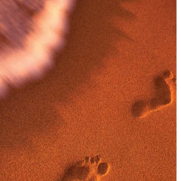 Sandy Footprints 3 Giclee Wrap Canvas Wall Art