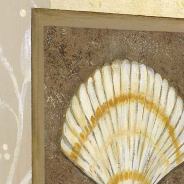 20" Seashell with Multi-Pattern Background Giclee Wrap Canvas Wall Art