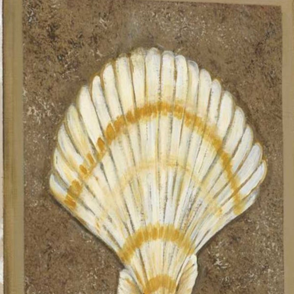 24" Seashell with Multi-Pattern Background Giclee Wrap Canvas Wall Art