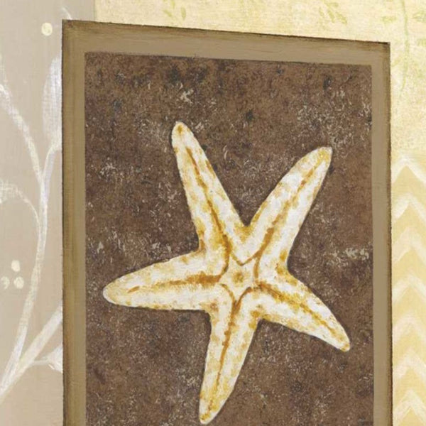 20" Starfish with Multi-Pattern Background Giclee Wrap Canvas Wall Art