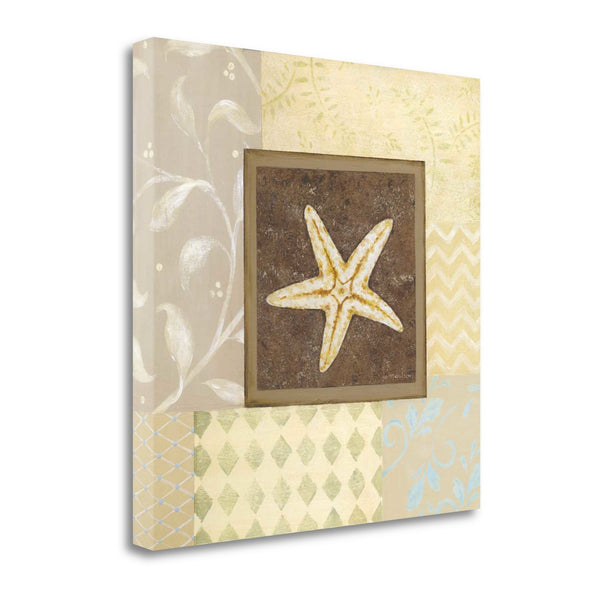 20" Starfish with Multi-Pattern Background Giclee Wrap Canvas Wall Art