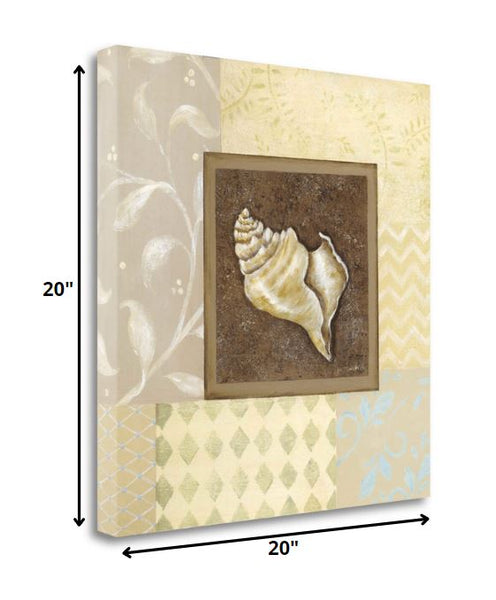 20" Conch Shell with Multi-Pattern Background Giclee Wrap Canvas Wall Art