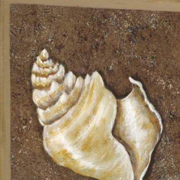 20" Conch Shell with Multi-Pattern Background Giclee Wrap Canvas Wall Art