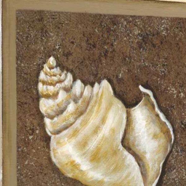 24" Conch Shell with Multi-Pattern Background Giclee Wrap Canvas Wall Art