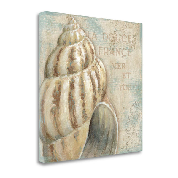 Rustic French Seashell 1 Giclee Wrap Canvas Wall Art