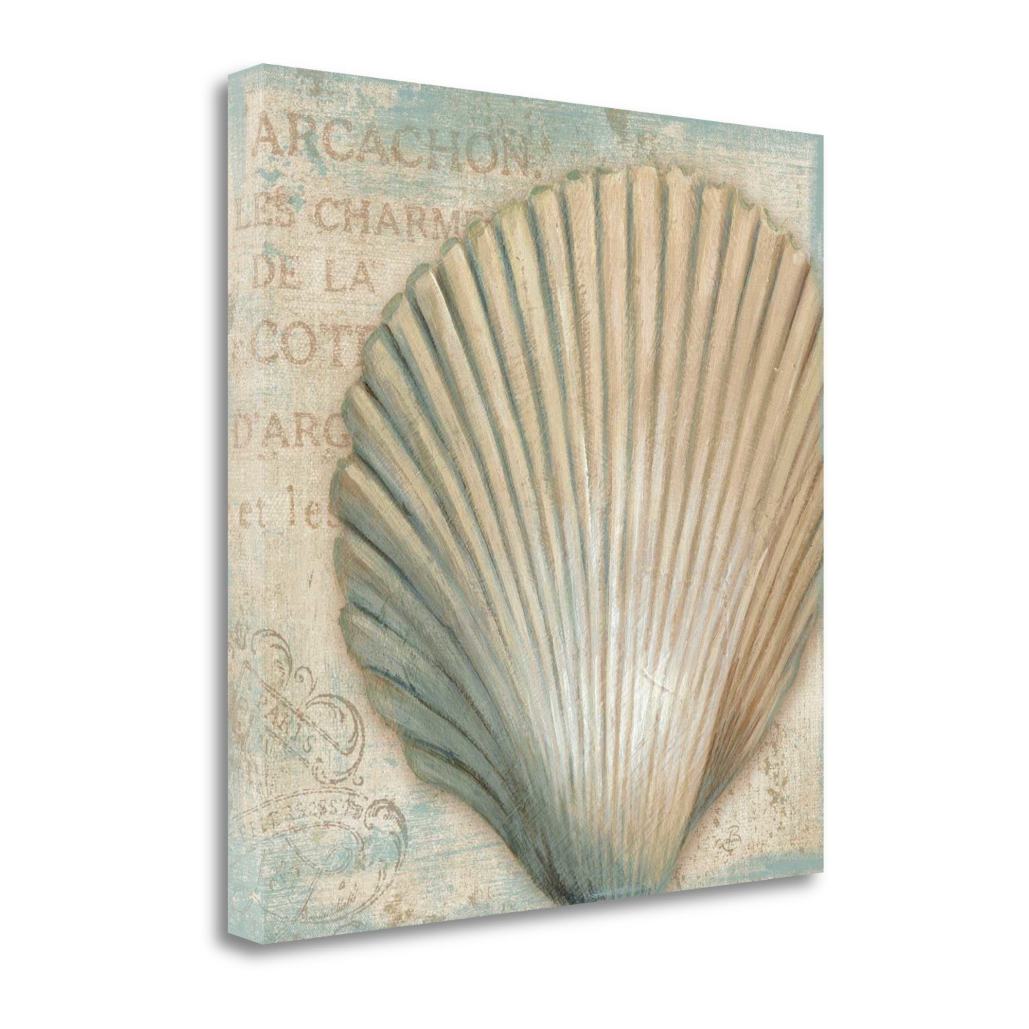 Rustic French Seashell 4 Giclee Wrap Canvas Wall Art